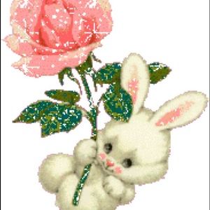 Meet your Posher, Belinda